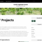 Forêt Capitale Forest (FCF)