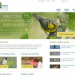 Boreal Songbird Initiative