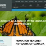 Monarch Teacher Network