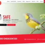 Safe Wings – Ottawa